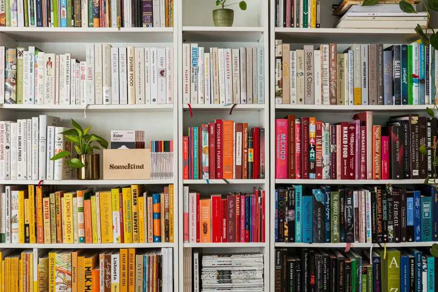 Bookshelves filled with neatly arranged books